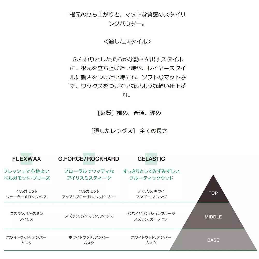 ヘンケル シュワルツコフ オージス ダストイット c 10g