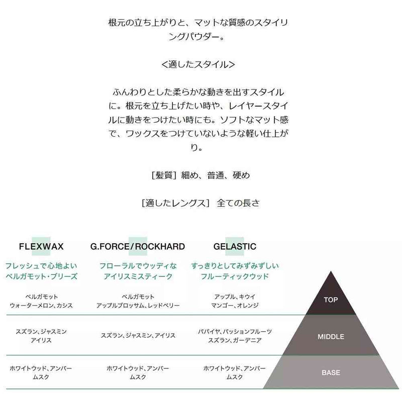 ヘンケル シュワルツコフ オージス ダストイット c 10g