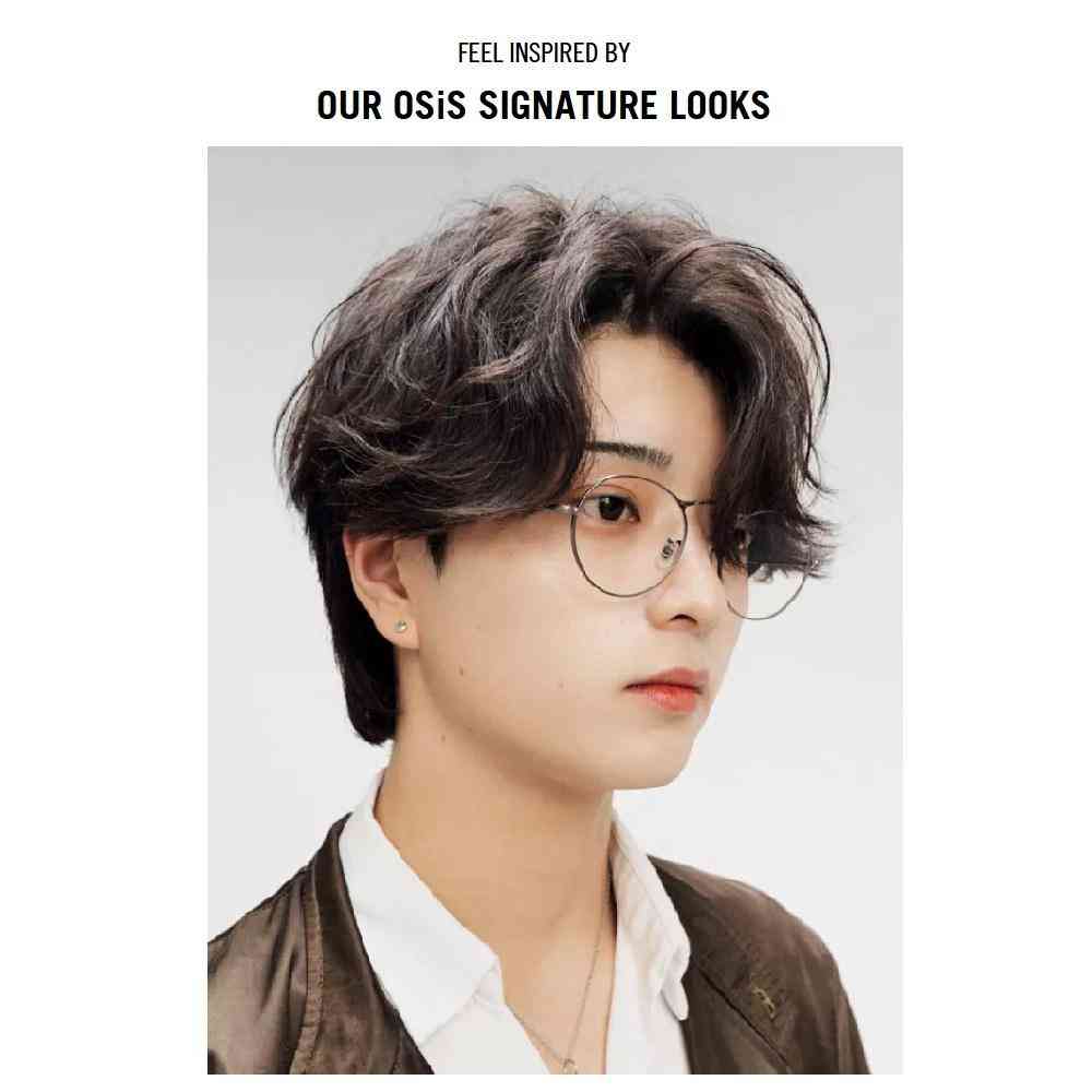 ヘンケル シュワルツコフ オージス ダストイット c 10g