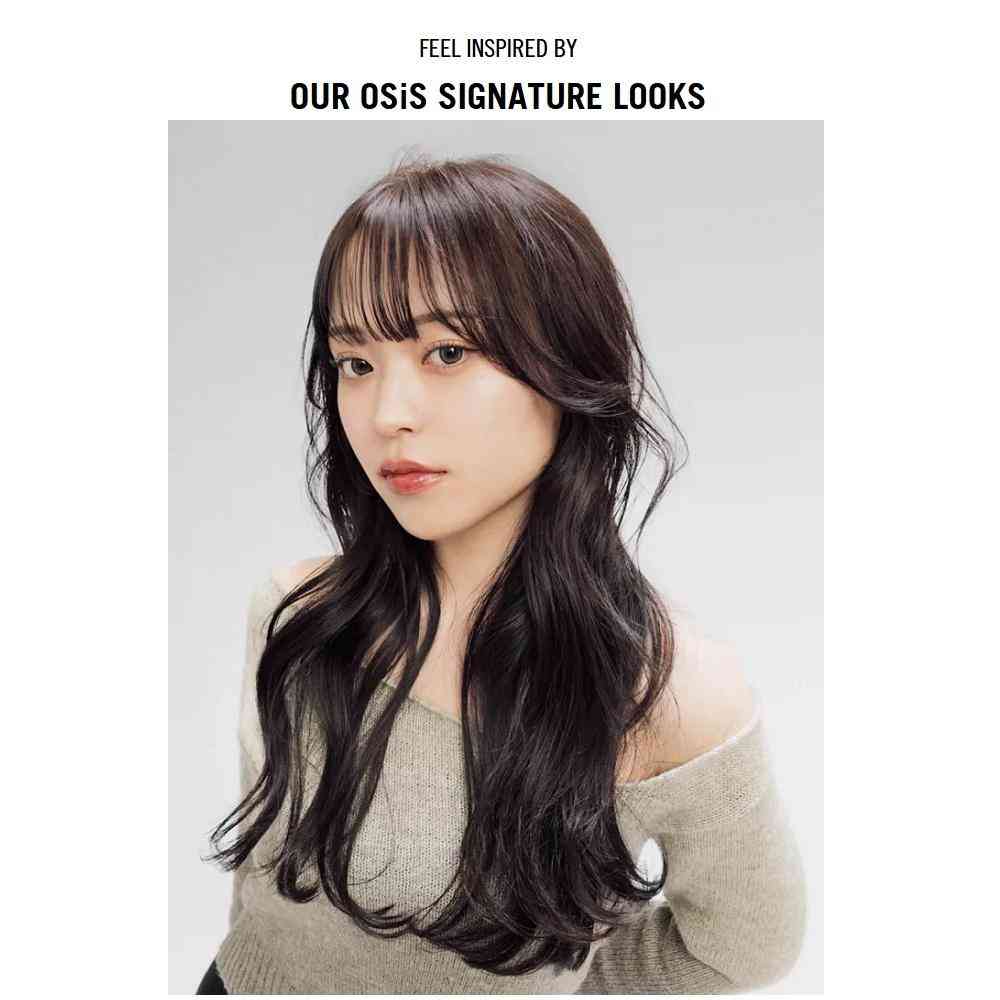 ヘンケル シュワルツコフ オージス ダストイット c 10g