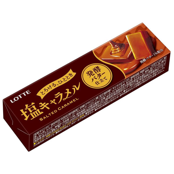 Lotte salt caramel fermented butter tailoring 10 grains