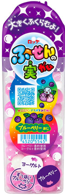 ◆ロッテ ふ〜せんの実 ブルーベリー 35g