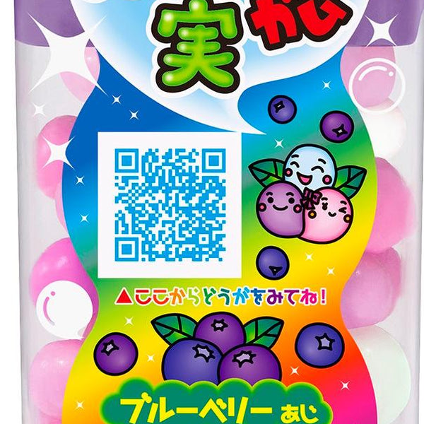 ◇ロッテ ふ〜せんの実 ブルーベリー 35g