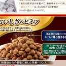 【ベンダ中止】ユニチャーム 銀のスプーン 贅沢うまみ仕立て 20歳を過ぎてもすこやかに 800g