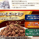 Unicharm Silver Spoon Luxury Umami Hairball Care 900g