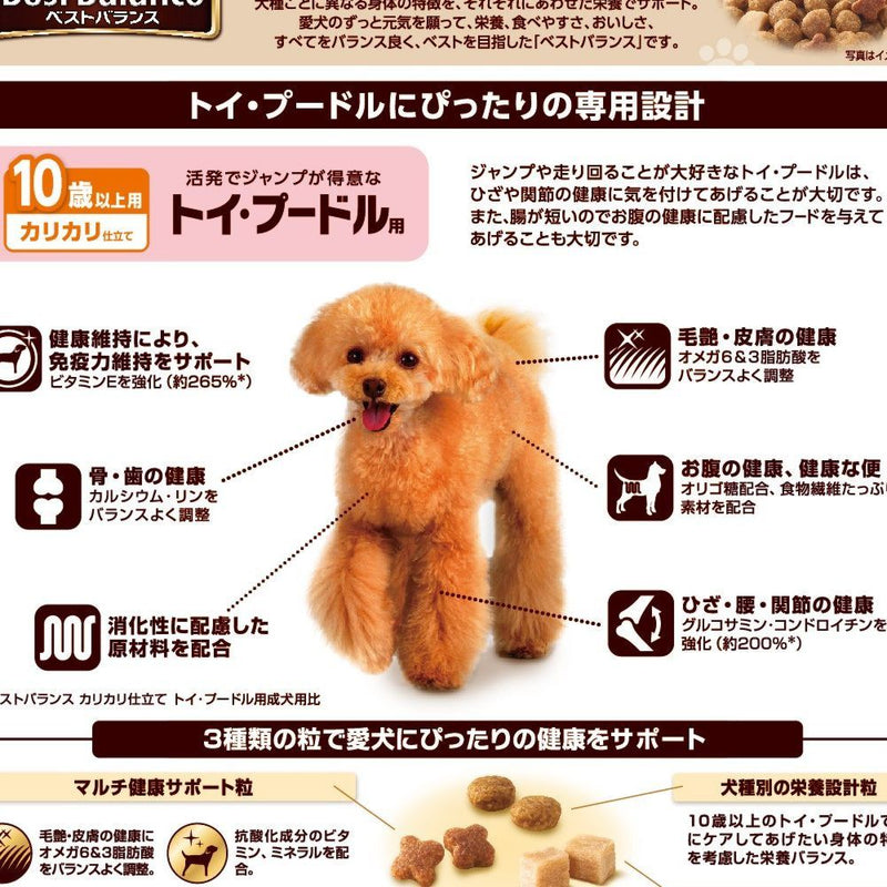 Best Balance 玩具贵宾犬 10 岁 1.8Kg