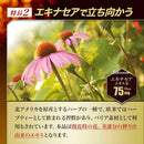 ◆ユウキ製薬 水溶性アガリクスDX 360粒