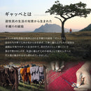 ギャッベ TX 130X190 グレー   【直送品】 返品・キャンセル・他商品と同時購入は不可