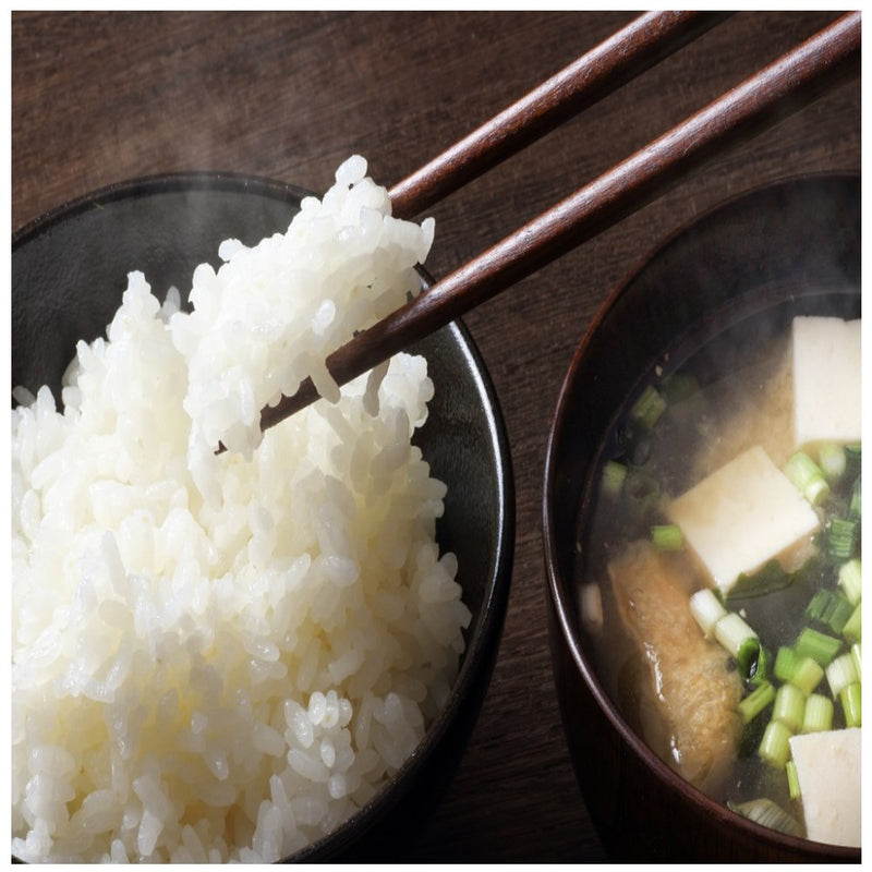 ◆雪蔵 氷温 新潟 こしひかり パックごはん 180g×12 ◇ メーカー直送 ▼返品・キャンセル不可【他商品との同時購入不可】