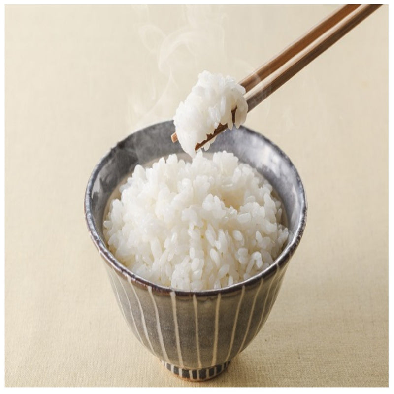 ◆雪温精法 令和7年産 新潟産 こしいぶき 5kg ◇ メーカー直送 ▼返品・キャンセル不可【他商品との同時購入不可】