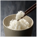 ◆雪温精法 氷温熟成 令和7年産 新潟産 新之助 4kg ◇ メーカー直送 ▼返品・キャンセル不可【他商品との同時購入不可】