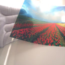 インクジェット用OHPフィルム A3判 5枚入 10袋 メーカー直送 ▼返品キャンセル不可【他商品との同時購入不可】