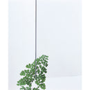 光 アクリルキャスト板 透明 5×930×1860mm メーカー直送 ▼返品・キャンセル不可【他商品との同時購入不可】