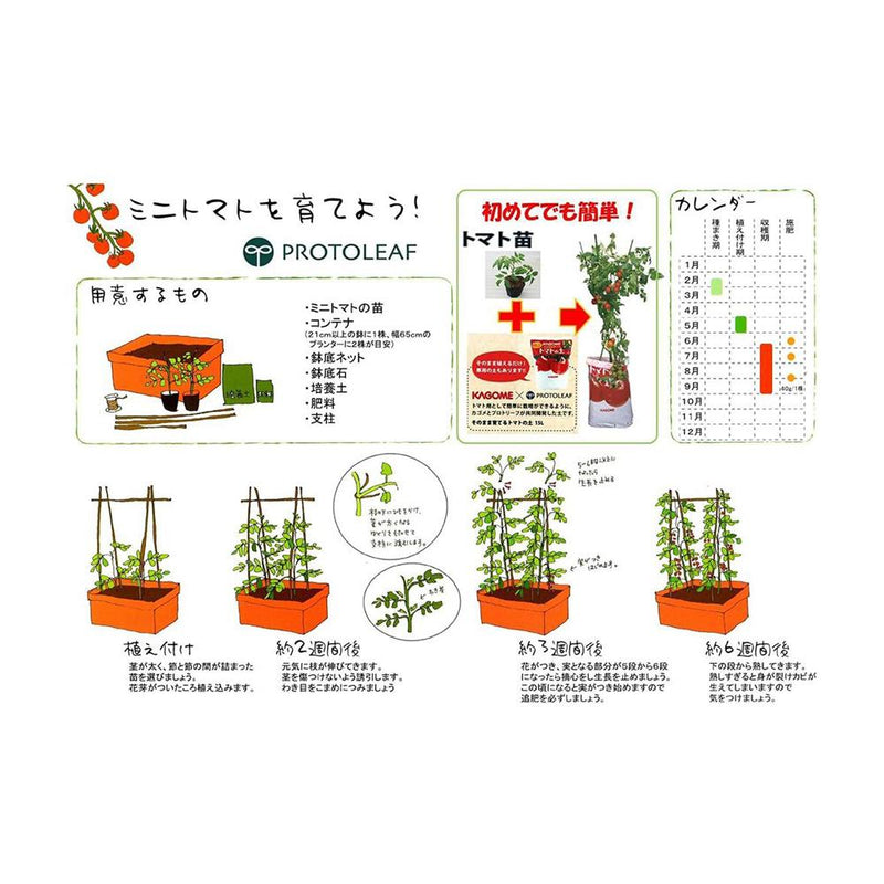 プロトリーフ かるーいトマトの土 20L