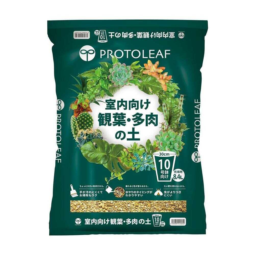 Top【選抜株】多肉植物　25260ローズ フロスト　54個　鉢無し/脱土 プロトリーフ 室内向け観葉・多肉の土10号鉢 8.4L