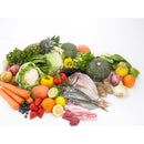 マジックブレットベーシック MGTB-WS1 メーカー直送 ▼返品・キャンセル不可【他商品との同時購入不可】