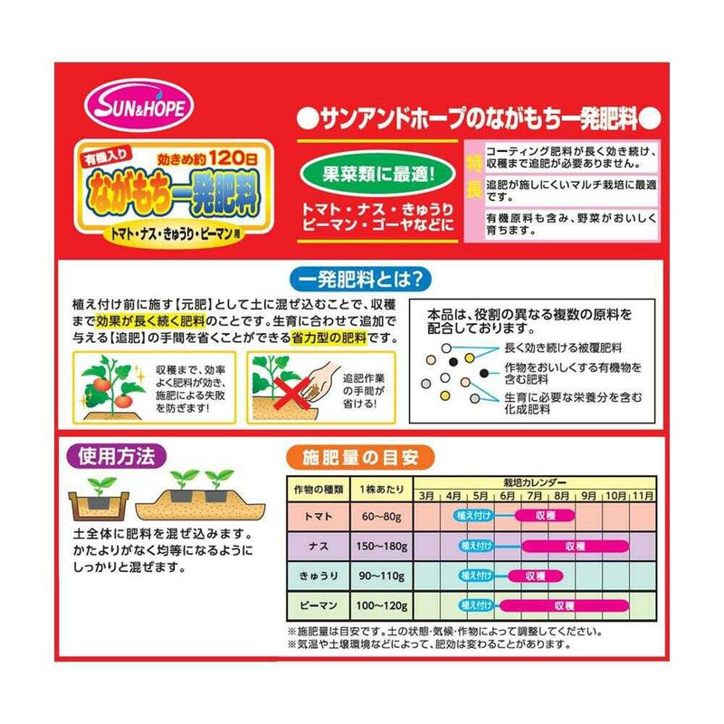 サンアンドホープ ながもち一発 トマトナスきゅうり 500g