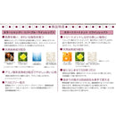 アンナドンナ エブリ カラーシャンプー パープルワインレッド 300ml