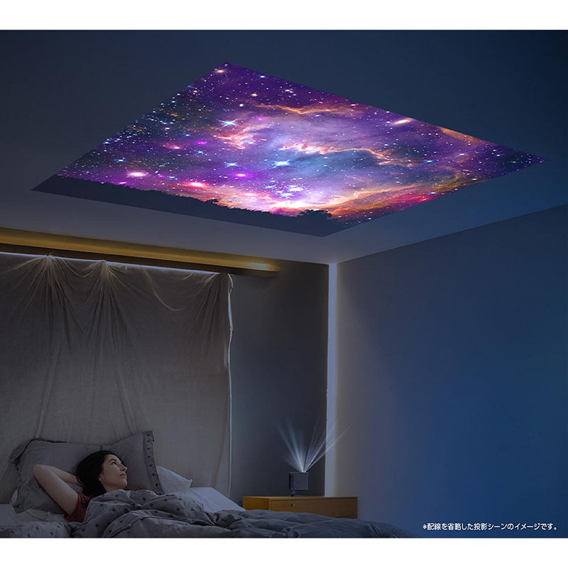 LCDプロジェクター RA-PB600 メーカー直送▼返品・キャンセル不可【他商品との同時購入不可】