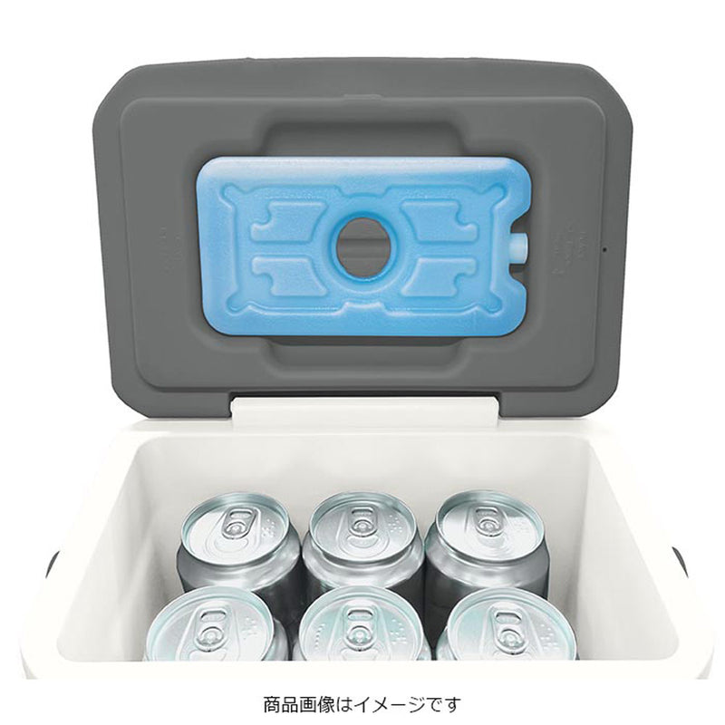 保冷剤付きクーラーボックス GR-CB48 メーカー直送▼返品・キャンセル不可【他商品との同時購入不可】