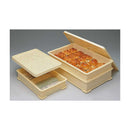 サンコープラスチック 食品用コンテナ フードテナー  本体2個蓋1個セット