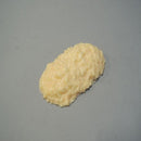 脂肪模型 500g IP-969 メーカー直送 ▼返品・キャンセル不可【他商品との同時購入不可】