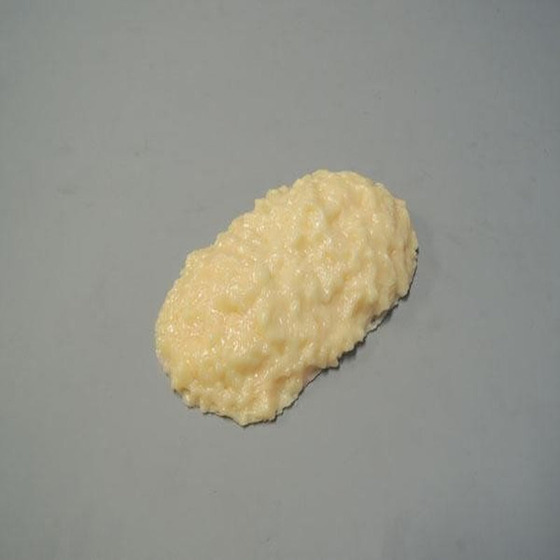 脂肪模型 500g IP-969 メーカー直送 ▼返品・キャンセル不可【他商品との同時購入不可】