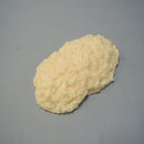 脂肪模型 1kg IP-970 メーカー直送 ▼返品・キャンセル不可【他商品との同時購入不可】