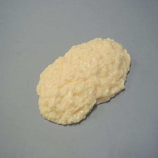 脂肪模型 1kg IP-970 メーカー直送 ▼返品・キャンセル不可【他商品との同時購入不可】