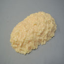 脂肪模型 2kg IP-971 メーカー直送 ▼返品・キャンセル不可【他商品との同時購入不可】