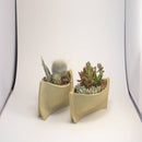 ひなたぼっこ(陶土使用ねんど) 黄土 メーカー直送 ▼返品・キャンセル不可【他商品との同時購入不可】