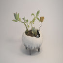 ひなたぼっこ(陶土使用ねんど) 白土 メーカー直送 ▼返品・キャンセル不可【他商品との同時購入不可】