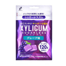 ◆SUN STYLE サンスタイル キシリガム グレープ パウチ 120g