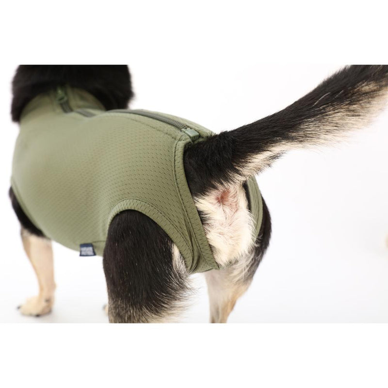 犬用 ベッツウェア 男の子用 カーキ XL メーカー直送 ▼返品・キャンセル不可【他商品との同時購入不可】
