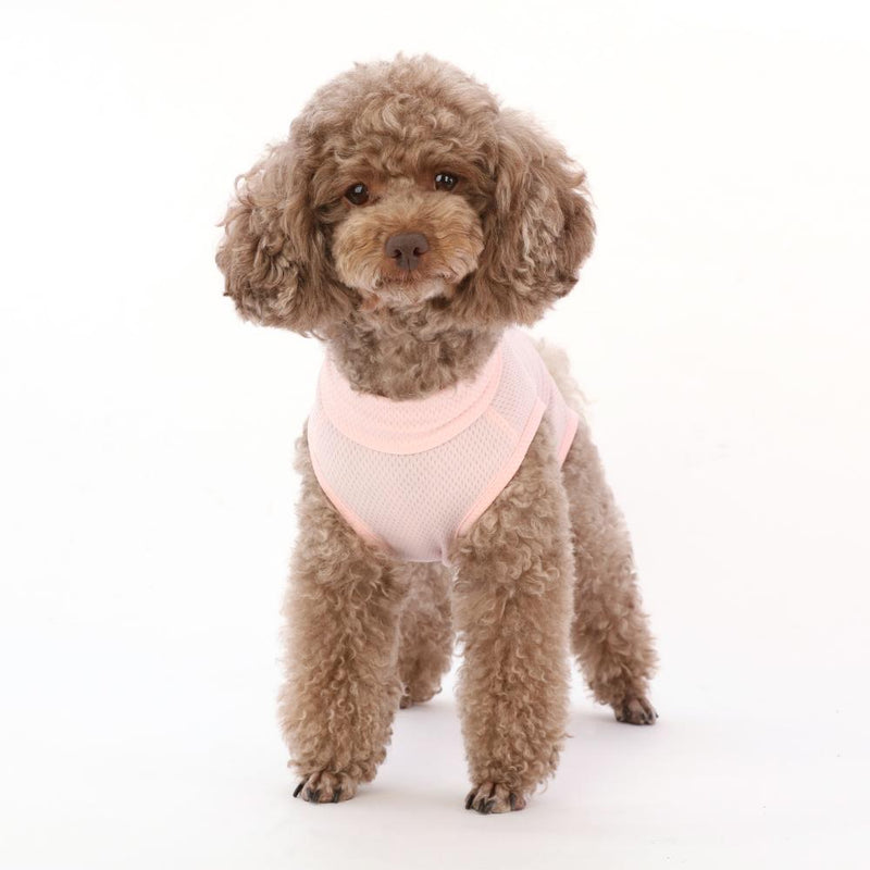 犬用 ベッツウェア 女の子用 ピンク XS メーカー直送 ▼返品・キャンセル不可【他商品との同時購入不可】