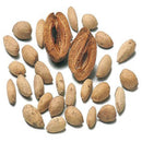 ジックニーム 500ml(濃縮液) メーカー直送 ▼返品キャンセル不可【他商品との同時購入不可】