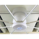 HBFJM3 KING JIM ハイブリッドファンJマグネット3 メーカー直送 ▼返品・キャンセル不可【他商品との同時購入不可】