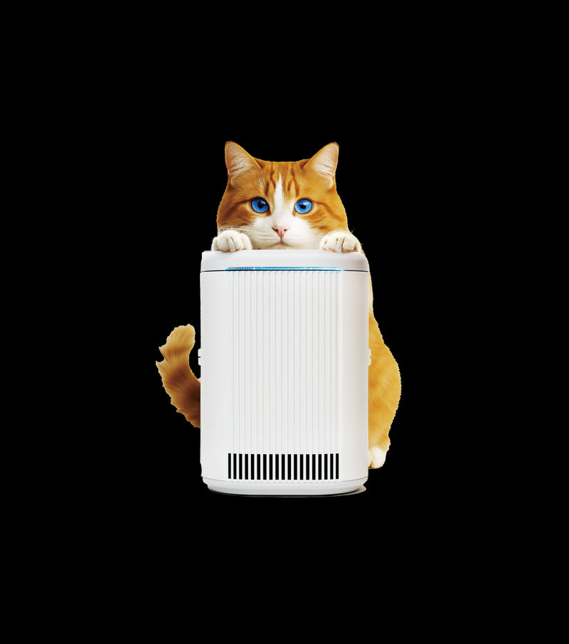 にゃんこモデル ブルーデオS MC-S311C 脱臭除菌 空気清浄 メーカー直送 ▼返品・キャンセル不可【他商品との同時購入不可