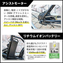 ACTIVEPLUS ノーパンク電動アシストFDB20EB メーカー直送 ▼返品・キャンセル不可【他商品との同時購入不可】