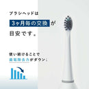 セブンウェイブ WAVEWAVE ジェットウォッシャー用替えブラシ セット ハード グレー 1台