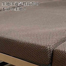 手すり付き折り畳みベッド PB-IDS メーカー直送 ▼返品・キャンセル不可【他商品との同時購入不可】