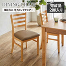 ダイニングチェアー2脚組 DCHAIR-ERN-NA メーカー直送 ▼返品・キャンセル不可【他商品との同時購入不可】