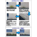 コケそうじ濃縮液 500ml メーカー直送 ▼返品・キャンセル不可【他商品との同時購入不可】