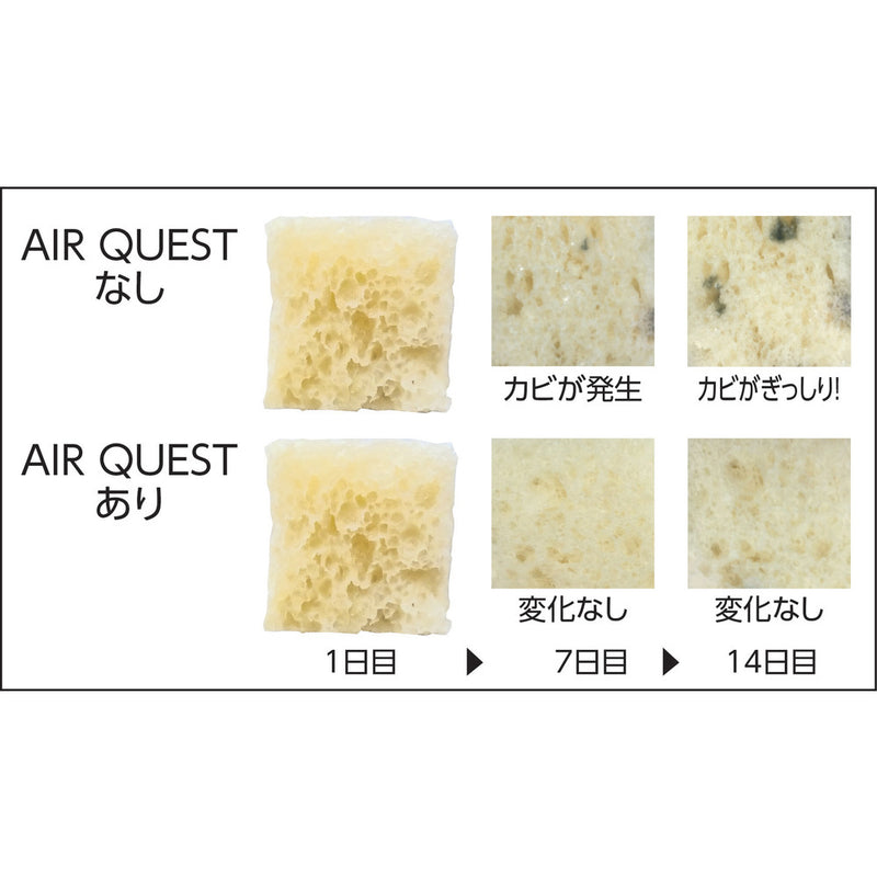 DAIAN エアークエストEX 38×80 2枚入 メーカー直送 ▼返品・キャンセル不可【他商品との同時購入不可】