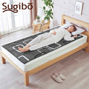 【通販限定】プレミアム電気毛布 日本製 SB20SL14 DG メーカー直送 ▼返品・キャンセル不可【他商品との同時購入不可】