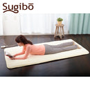 あったかパーソナルマットレギュラー 日本製 SBHP901 IV メーカー直送 ▼返品・キャンセル不可【他商品との同時購入不可】