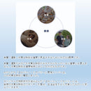 コロバニィ コットン Tシャツ L ホワイト 10615L メーカー直送 ▼返品・キャンセル不可【他商品との同時購入不可】