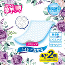 レック こころ想い流せるおしりふき大判 40枚×2パック