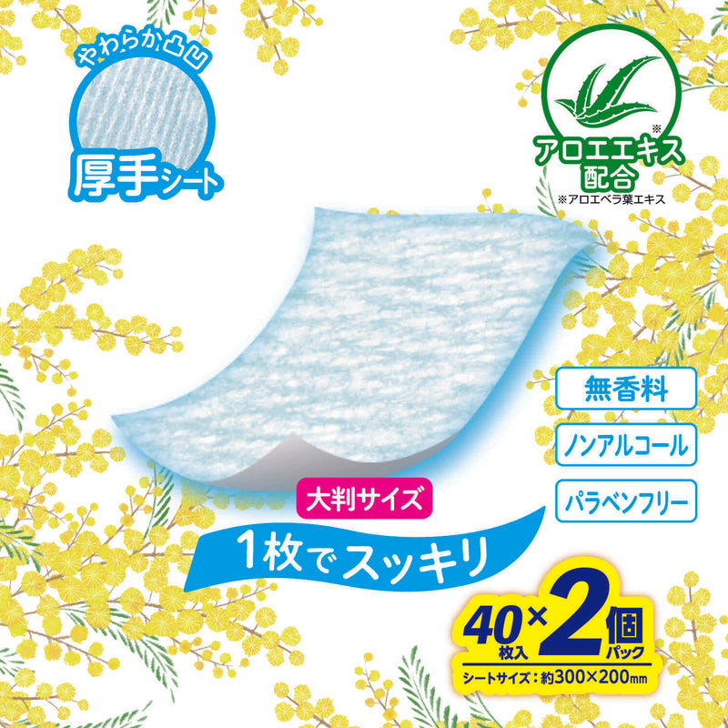 レック こころ想いからだふき大判厚手 40枚×2パック