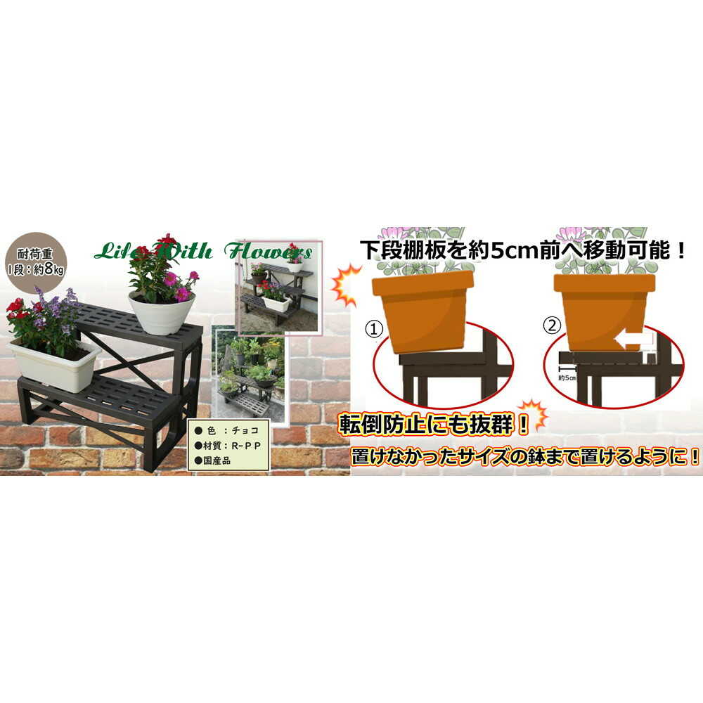 人気商品・限定商品ばかりの「超得 半額福袋」が販売開始 安全工業 フラワースタンド チョコ 600型 2段 絵本/児童書